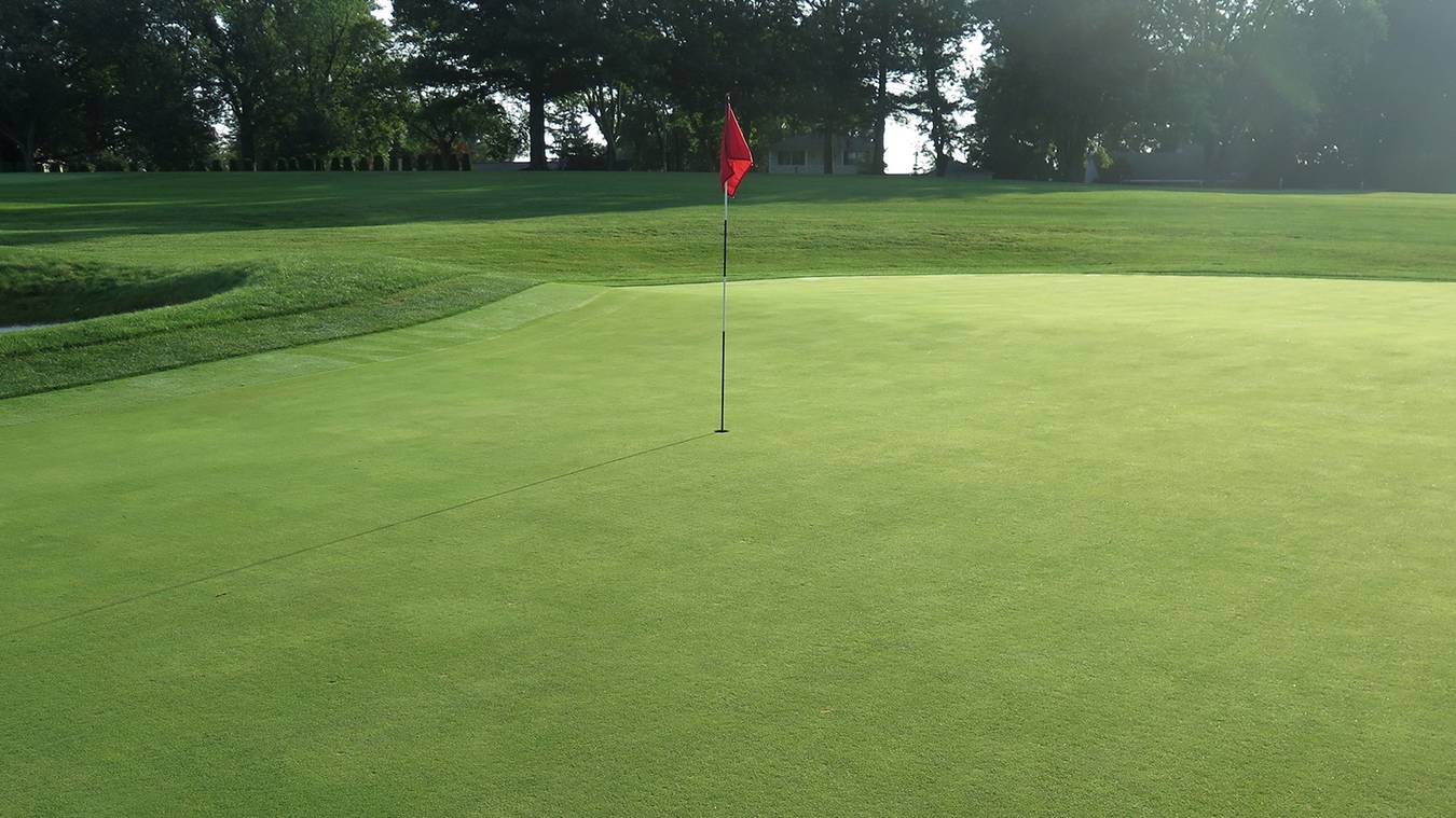 The Importance of Fixing Ball Marks: Preserving the Integrity of Golf Courses